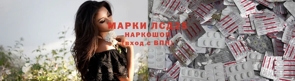 СК Балахна
