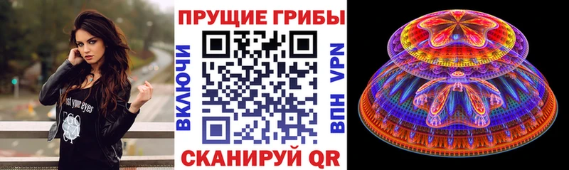 Псилоцибиновые грибы мицелий  Санкт-Петербург 